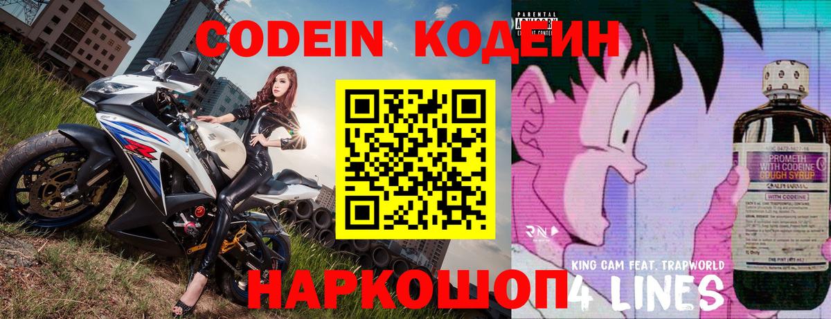 Заводоуковск  Кодеин Purple Drank  где найти наркотики  Вход с VPN  Codein напиток Lean (лин) 