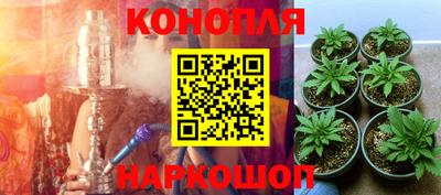 apvp Кунгур