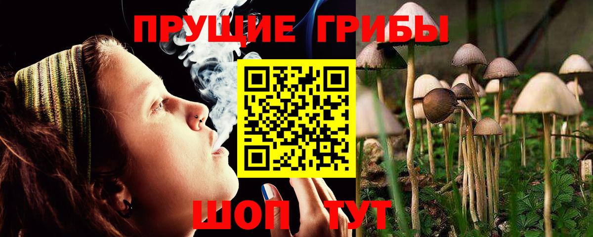 Псилоцибиновые грибы MAGIC MUSHROOMS  Вход с VPN  Заводоуковск  Псилоцибиновые грибы ЛСД 